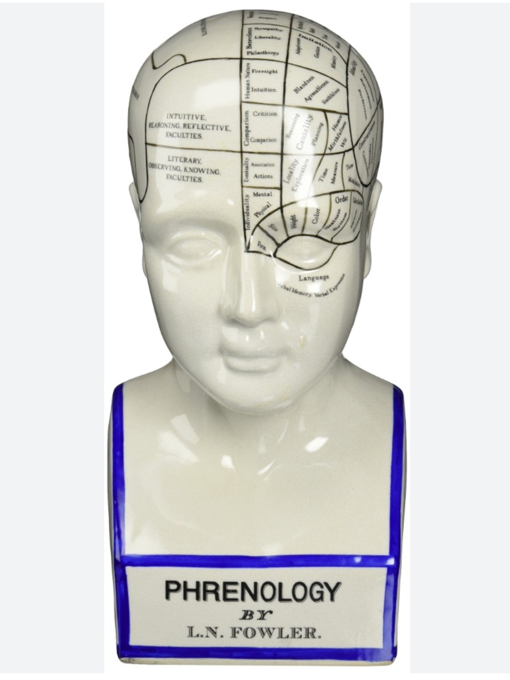 Brain Phrenology Head Bust by L. N. Fowler Authentic Model Brain Science